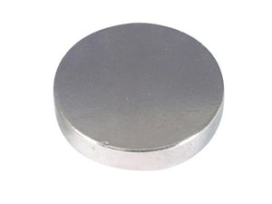 MAGNET - RARE EARTH - 25 x 5mm